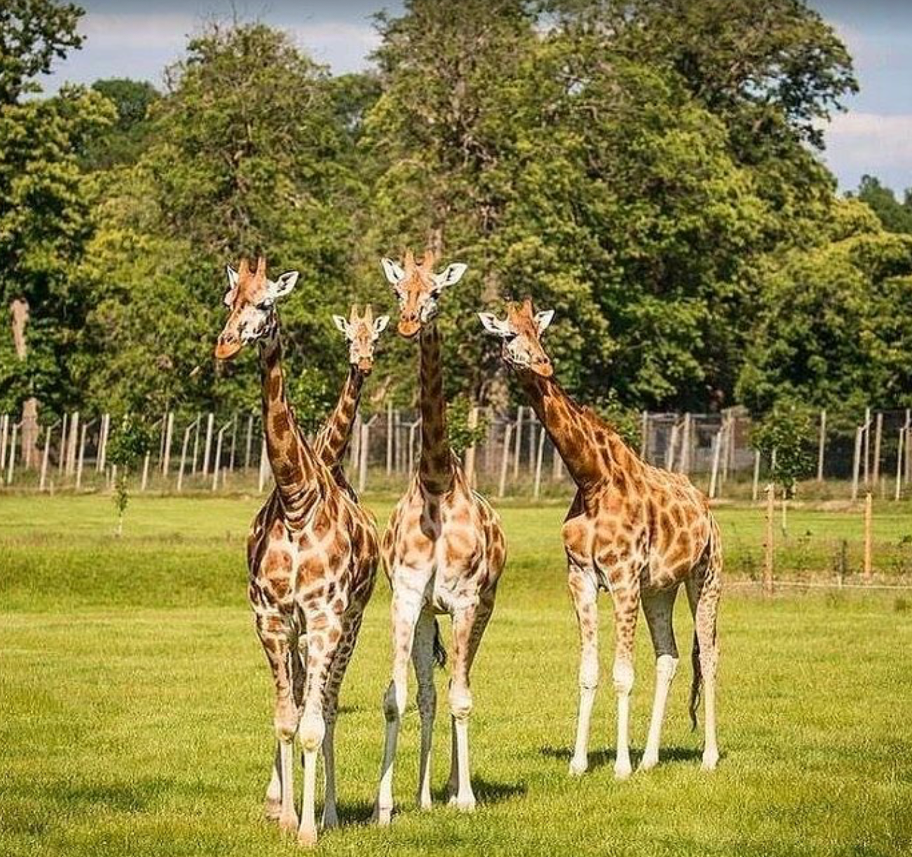 The Nairobi Itinerary